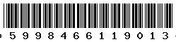 5998466119013