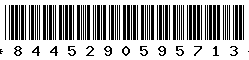 8445290595713 8445290595713