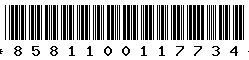 8581100117734