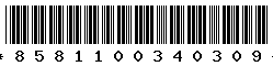 8581100340309