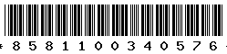 8581100340576
