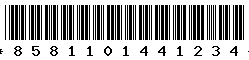 8581101441234