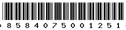 8584075001251