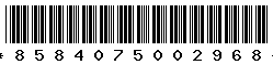 8584075002968