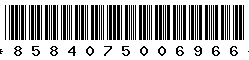 8584075006966