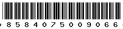 8584075009066