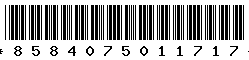 8584075011717
