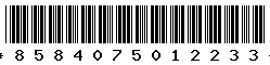 8584075012233