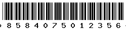 8584075012356