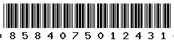 8584075012431