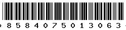 8584075013063