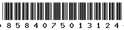 8584075013124