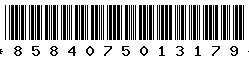 8584075013179