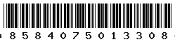 8584075013308