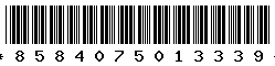 8584075013339