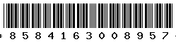 8584163008957