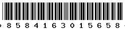 8584163015658