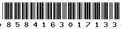 8584163017133 8584163017133