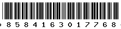 8584163017768
