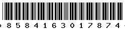 8584163017874