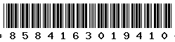 8584163019410