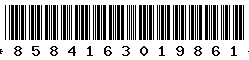 8584163019861
