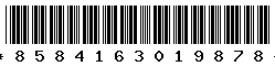 8584163019878