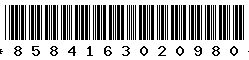 8584163020980
