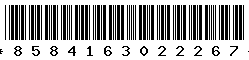 8584163022267