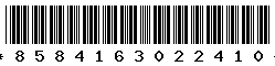 8584163022410