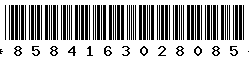 8584163028085