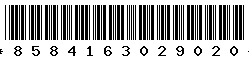 8584163029020