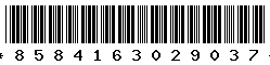 8584163029037