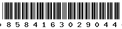 8584163029044