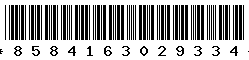 8584163029334