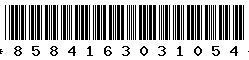 8584163031054