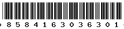 8584163036301 8584163036301