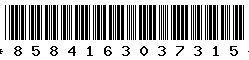 8584163037315