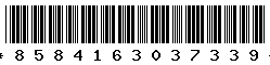 8584163037339