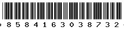 8584163038732 8584163038732