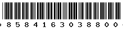 8584163038800