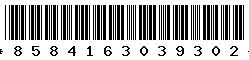 8584163039302