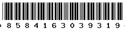 8584163039319