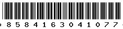 8584163041077