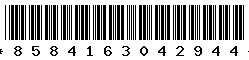 8584163042944