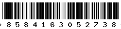 8584163052738 8584163052738