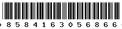 8584163056866