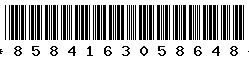 8584163058648