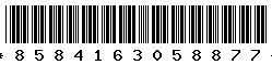 8584163058877 8584163058877