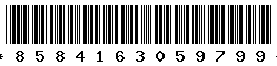 8584163059799
